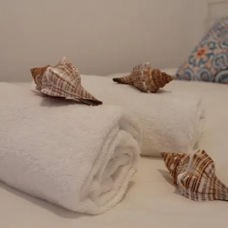 Surf & Apartment