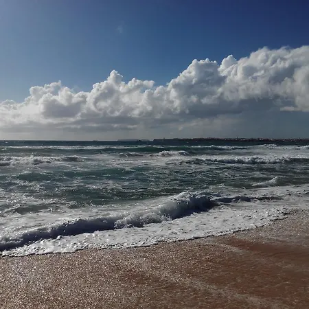 Surf & * Консоласан