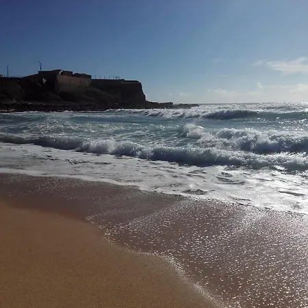 Surf & *